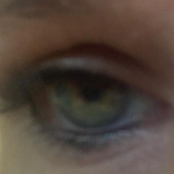 Meet your Posher, Fiona - Picture 1 of 1